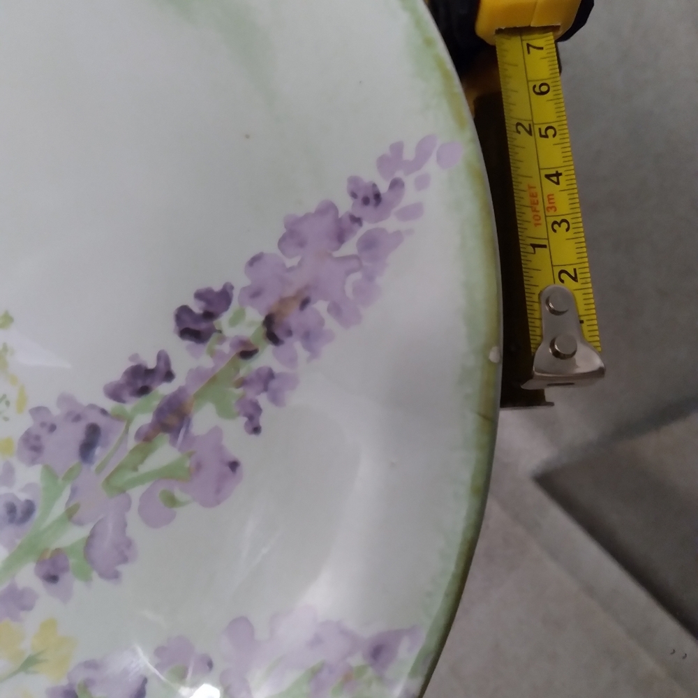Dinner Plate - Picture 5 of 5